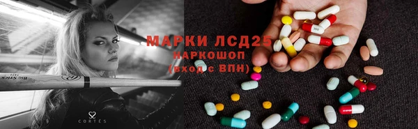 ешки Новодвинск