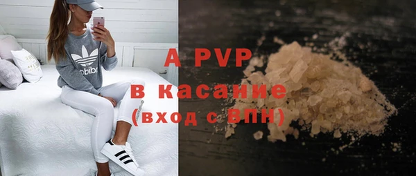 ешки Новодвинск