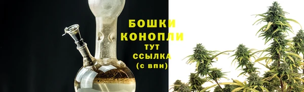 ешки Новодвинск