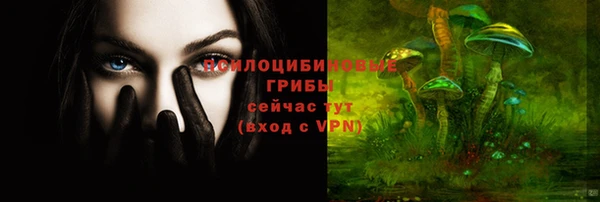 apvp Новокубанск