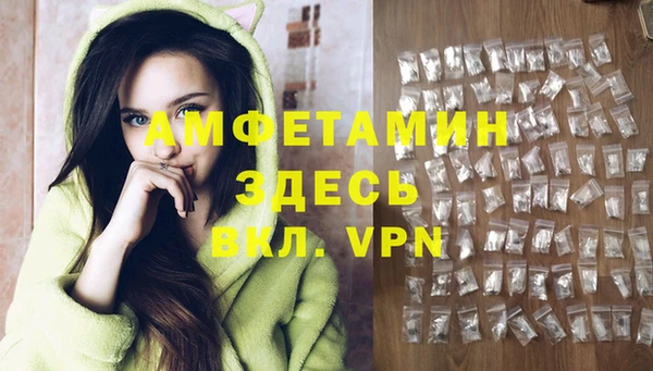 ешки Новодвинск