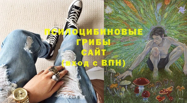 apvp Новокубанск