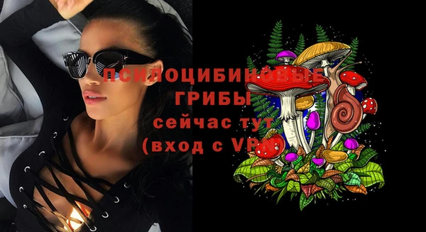 прущий лед Вяземский