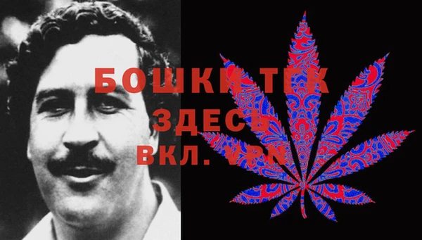 прущий лед Вяземский