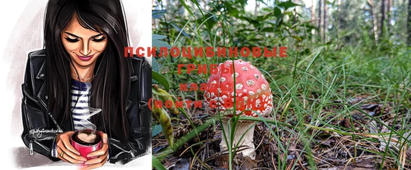ешки Новодвинск