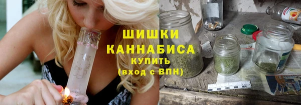 ешки Новодвинск