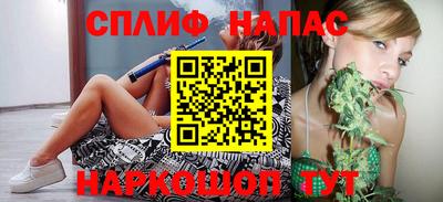 jwh Будённовск