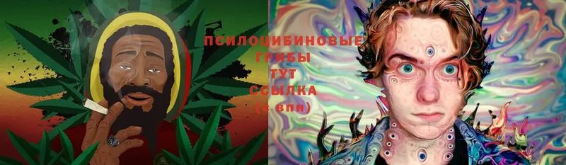 цена наркотик  Кандалакша  Галлюциногенные грибы Cubensis 