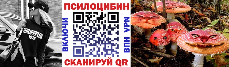 ссылка на мегу как войти  цена   Кандалакша  Псилоцибиновые грибы мухоморы 