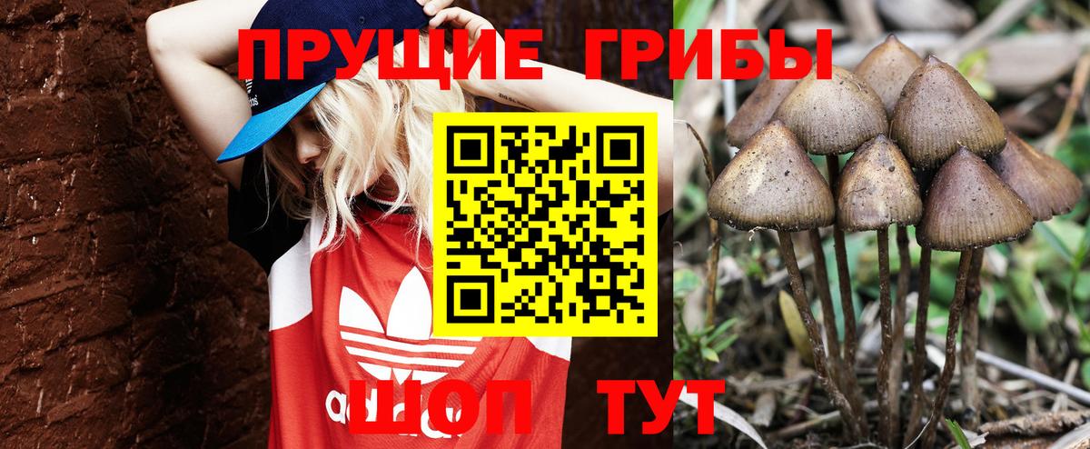 Псилоцибиновые грибы Magic Shrooms Кандалакша