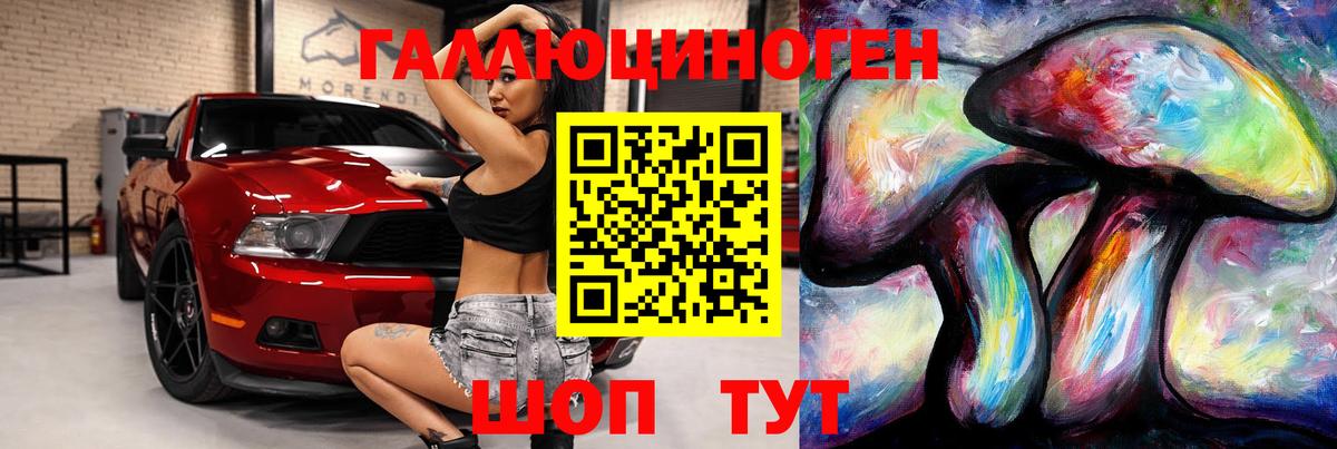 Псилоцибиновые грибы Psilocybine cubensis  Галлюциногенные грибы Cubensis  Кандалакша 