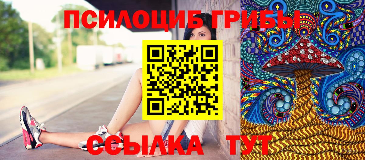 Галлюциногенные грибы мухоморы Кандалакша