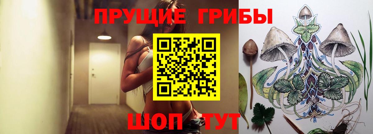 Кандалакша  Псилоцибиновые грибы ЛСД  даркнет сайт  Вход с VPN 